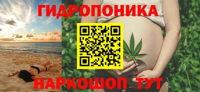 гидра Обь