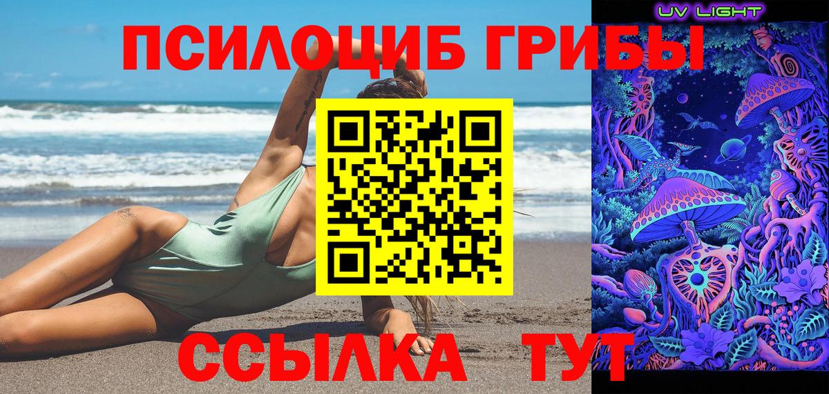 Псилоцибиновые грибы Cubensis  Вход с VPN  Галлюциногенные грибы Cubensis  Новошахтинск 